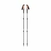 Black Diamond Trail Cork Trekking Poles